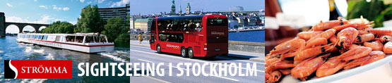 Sightseeing i Stockholm med Strömma
