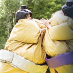 Bouncy Boxing och Sumobrottning