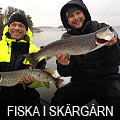 Fiska i Stockholm