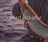 Guidad Fisketur