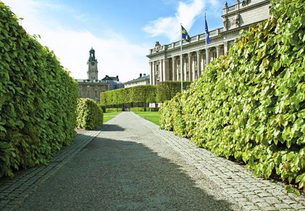 Guidad stadsvandring i Stockholm