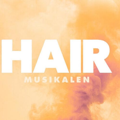 Boka Hair Musikalen hotellpaket