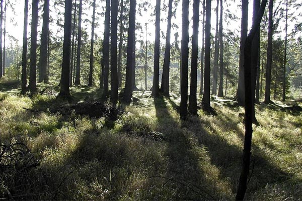 Kom till Lida fridluftsområde på höstlovet