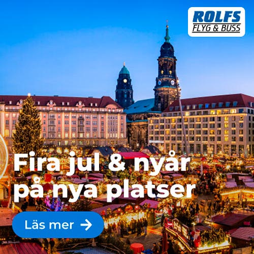 Nyårsresa till Stockholm med Nyårsfirande på Skansen.