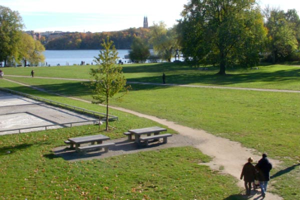 Rålis Rålambshovsparken Stockholm