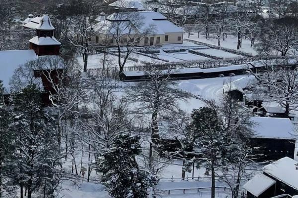 Skansen sportlov i Stockholm