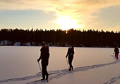 Snowshoe Walk in Stockholm