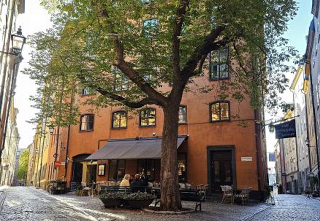 stadsvandring i gamla stan i Stockholm