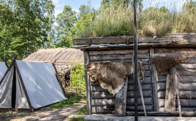 Åk till Birka i Stockholm