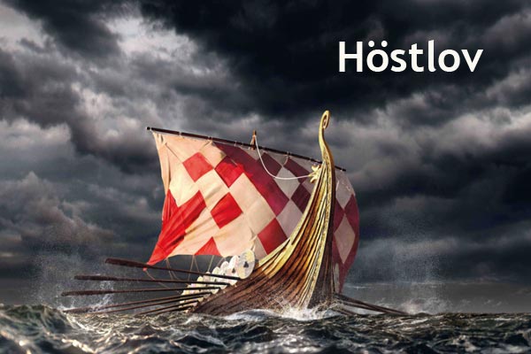 The Viking Museum Höstlov i Stockholm