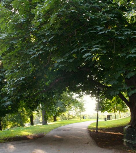 Vitabergsparken Stockholm