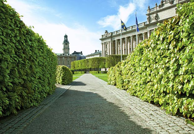 3 hours walking tour in Stockholm